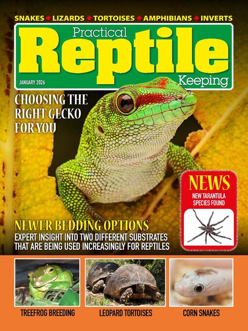 Title details for Practical Reptile Keeping by David Alderton - Available
